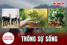 [Góc nhìn]: Trồng sự sống