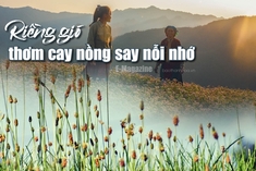 [E-Magazine] - Riềng gió thơm cay nồng say nỗi nhớ