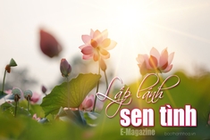 [E-Magazine] - Lấp lánh sen tình