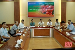 Hội nghị trực tuyến xúc tiến tiêu thụ vải thiều năm 2020