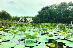 Nước nổi Trà Sư...