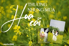 [E-Magazine] - Thương những mùa hoa cải