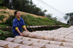 Làng nghề bánh đa nem rộn ràng vào Tết