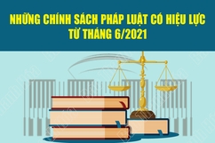 [Infographic] - Những chính sách pháp luật có hiệu lực từ tháng 6/2021