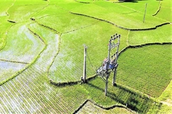 Đưa công nghệ Flycam trong công tác quản lý vận hành lưới điện tại Điện lực Bá Thước