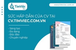 Mẫu CV xin việc - Giải pháp hỗ trợ việc làm nhanh nhất trong mùa dịch