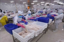 Lách khe hẹp xuất khẩu thủy sản tiếp tục mở cửa thị trường