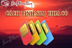 Tổng hợp 5 cách chấm điểm sim phổ biến hàng đầu hiện nay