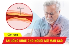 Thực đơn hàng ngày cho người bị mỡ máu cao: Ăn gì để khỏe?