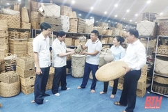 Hội Nông dân huyện Nga Sơn tích cực ứng dụng khoa học - công nghệ, nâng cao hiệu quả sản xuất