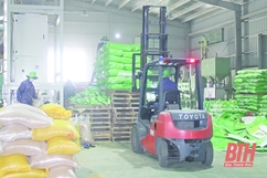 Quảng Xương đẩy mạnh thu hút đầu tư