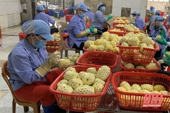 Đẩy mạnh thu hút đầu tư phát triển nông nghiệp, nông thôn