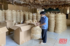 Đẩy mạnh phát triển các sản phẩm công nghiệp nông thôn