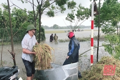 Nông Cống tập trung khắc phục thiệt hại do mưa lũ gây ra