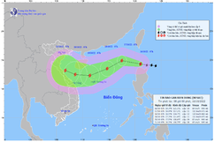 Chủ động ứng phó với diễn biến của bão NESAT
