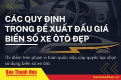 Quy định chi tiết về đề xuất đấu giá biển số ôtô đẹp