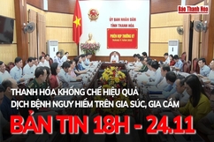 Bản tin 18h ngày 24-11: Thanh Hóa khống chế hiệu quả dịch bệnh nguy hiểm trên gia súc, gia cầm