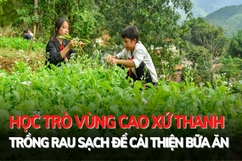 Học  trò vùng cao  xứ Thanh trồng rau sạch cải thiện bữa ăn