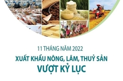 Xuất khẩu nông, lâm, thủy sản 11 tháng vượt kỷ lục