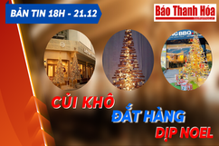 Bản tin 18 giờ ngày 21 - 12: Củi khô đắt hàng dịp Noel