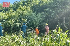 Vĩnh Lộc ra quân giải phóng hành lang lưới điện cao áp