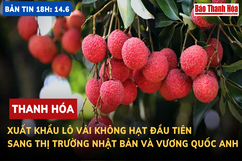 Bản tin 18H ngày 14-6: Thanh Hóa xuất khẩu lô vải không hạt đầu tiên sang thị trường Nhật Bản và Vương quốc Anh