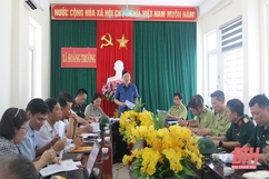 Sở Nông nghiệp và Phát triển nông thôn kiểm tra, xác minh thông tin khai thác gỗ rừng thông tại xã Hoằng Trường, huyện Hoằng Hoá