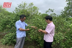 link vào m88 mới nhất huy hiệu quả vốn vay giải quyết việc làm ở thị xã Bỉm Sơn