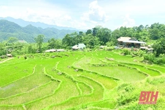Nhân kỷ niệm 95 năm thành lập châu Tân Hóa (3-8-1928 - 3-8-2023): Huyện Bá Thước - 95 năm chặng đường hình thành và phát triển