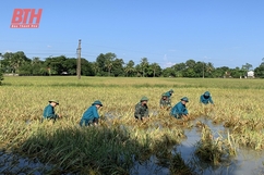 Phát triển đảng viên trong dân quân tự vệ ở Nông Cống