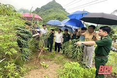 “Luồng gió mới” để Mường Lát thoát nghèo