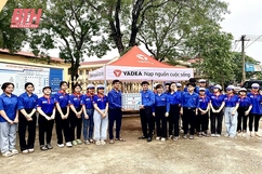 Dấu ấn mùa hè xanh 2023
