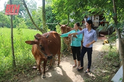 Nghe khách hàng kể chuyện Tài chính vi mô Thanh Hóa