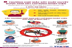 8 trường hợp mắc sốt xuất huyết được xem xét chỉ định nhập viện