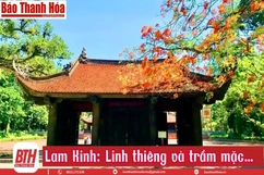 Lam Kinh: Linh thiêng và trầm mặc...