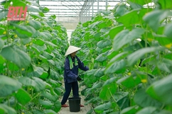Nửa nhiệm kỳ tạo dựng diện mạo kinh tế - xã hội với nhiều dấu ấn đậm nét (Bài 2): Củng cố các nền tảng tăng trưởng căn bản