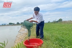 Nhiều địa phương loay hoay xây dựng sản phẩm OCOP