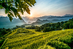 Khu vực Thanh Hóa trưa chiều giảm mây, hửng nắng
