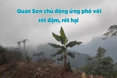 Quan Sơn chủ động ứng phó với rét đậm, rét hại