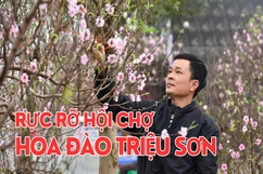 Rực rỡ Hội chợ hoa đào Triệu Sơn