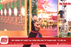 Ấn tượng  võ thuật tại  Tuần Văn hoá TP link m88 Hoá - TP Hội An
