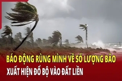 Báo động về số lượng bão xuất hiện đổ bộ vào đất liền