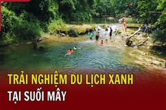 Trải nghiệm du lịch xanh tại suối Mây