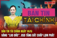 Bản tin Tài chính ngày 14/6: Vàng “lao dốc”, USD tăng bất chấp lạm phát