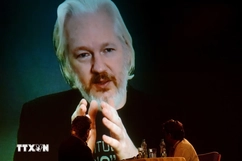 Nhà sáng lập WikiLeaks Julian Assange đồng ý nhận tội