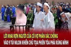 Lời khai của người vợ phân xác chồng vào 9 túi nilon