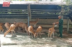 Cựu chiến binh Hà Văn Thuyên làm kinh tế giỏi