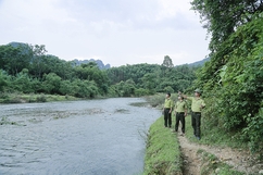 “Lực lượng tiên phong” của Đảng trong quản lý, bảo vệ và phát triển rừng (Bài 1): Những đảng viên tiên phong bảo vệ rừng