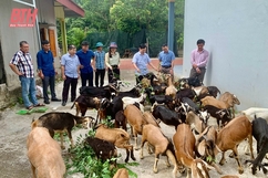 Nông dân Thanh Hóa đoàn kết giúp nhau làm giàu và giảm nghèo bền vững