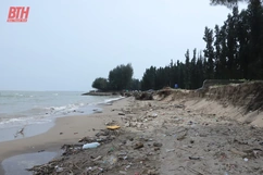 Công bố tình huống khẩn cấp sạt lở, xâm thực bờ biển khu vực 3 xã Hoằng Trường, Hoằng Thanh, Hoằng Phụ